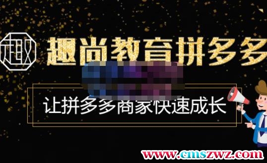 趣尚教育·拼多多运营实操VIP特训营，让拼多多商家快速成长-价值3180元