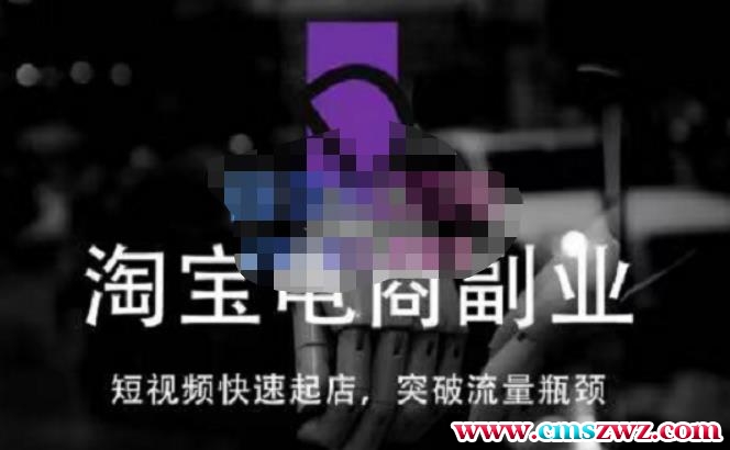 蓝Sir派·淘宝短视频快速起店，替代传统搜索方式，学会做一个不一样的淘宝店