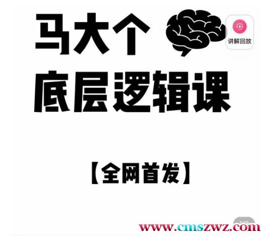 马大个·底层逻辑课，51节底层逻辑智慧课-价值1980元