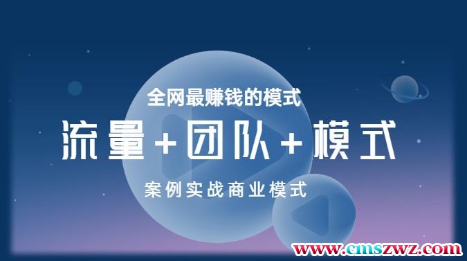 王冲老师《流量+团队+模式》商业模式实战课，全网最赚钱的模式