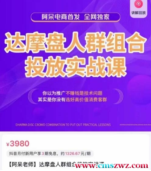 阿呆电商·达摩盘人群组合投放实战课，你以为推广不赚钱是技术问题，其实是你没有选好高价值消费客群