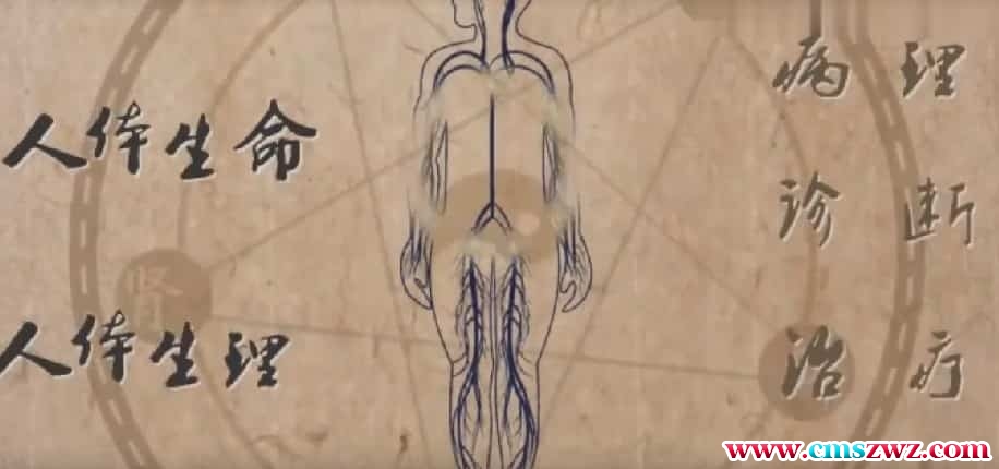 潘昭佑疾病诊断视频7集插图