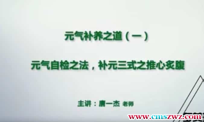 添油接命与补养之道元气检查秘法养生视频教程修真4集插图