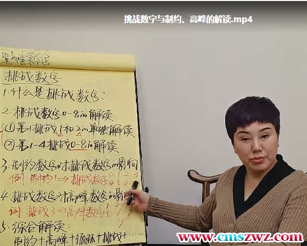 王茁琳生命数字学茁琳高阶课程视频23集插图