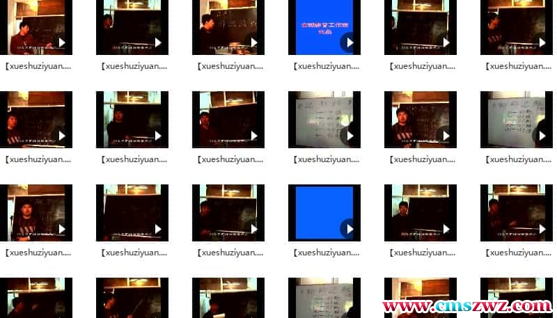 刘文元四柱独门铁口直断 四柱命理正源18集76小节插图