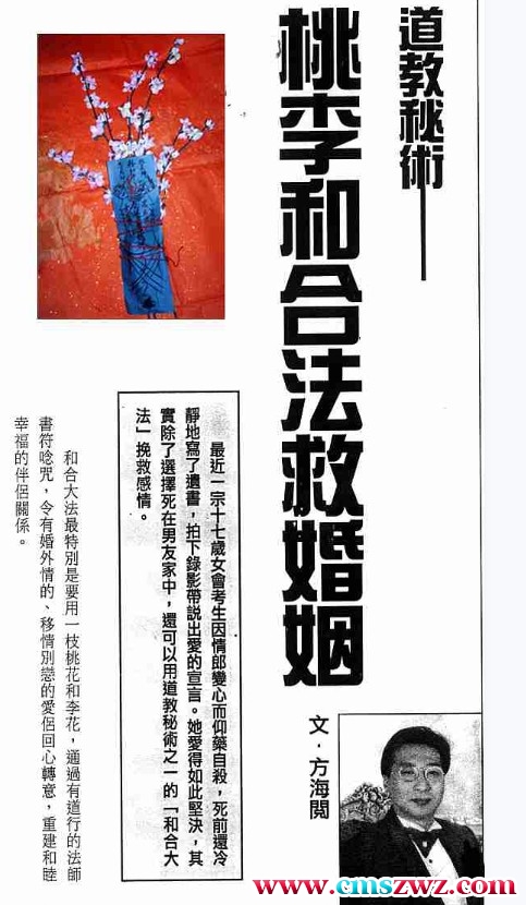 珍藏本书籍 新玄机符咒.pdf插图