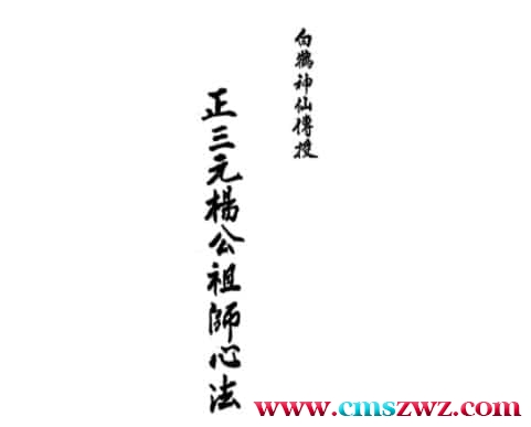 杨救贫-正三元杨公祖师心法插图