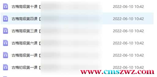 水河子古梅花 苗老师古梅花易数培训 古梅初级+高级课程插图 水河子古梅花 苗老师古梅花易数培训 古梅初级+高级课程插图