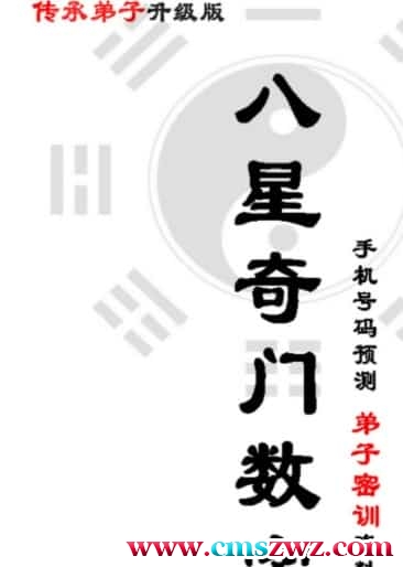 八星奇门数字 弟子升级版pdf百度盘下载插图