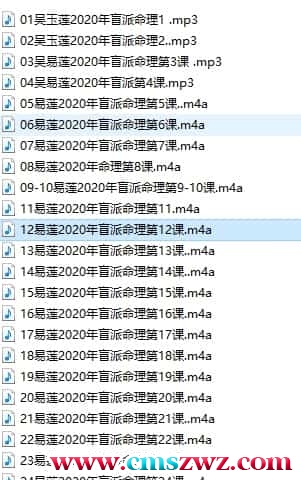 吴玉莲 易莲命理庚子年高级精华班 2020年盲派命理微信内部群课程音频24集插图
