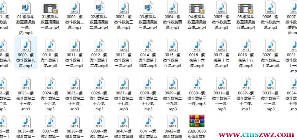 军师府 紫薇斗数初级中级一体班（音频课）【完结】插图