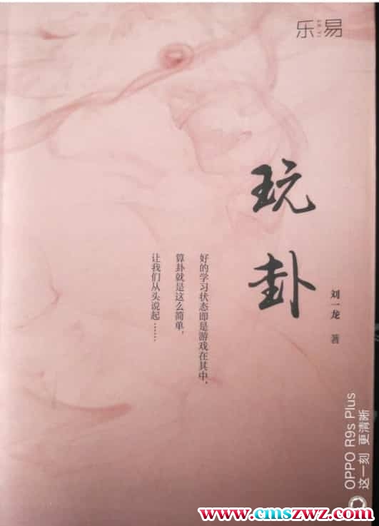 刘一龙梅花易数玩卦插图