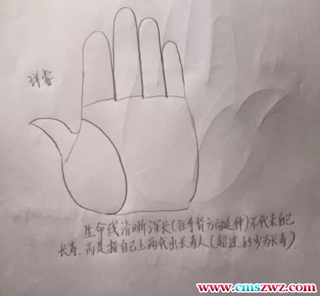 详睿相法之手相绝招1pdf免费下载插图