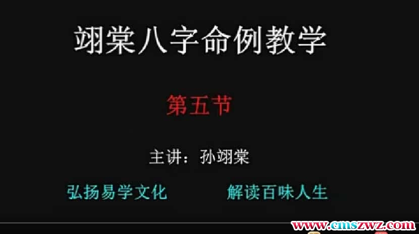 翊棠新派八字 翊棠新派八字基础篇14集+实战篇11集+文档插图