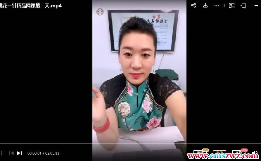 孙星云桃花一针3集视频教程插图