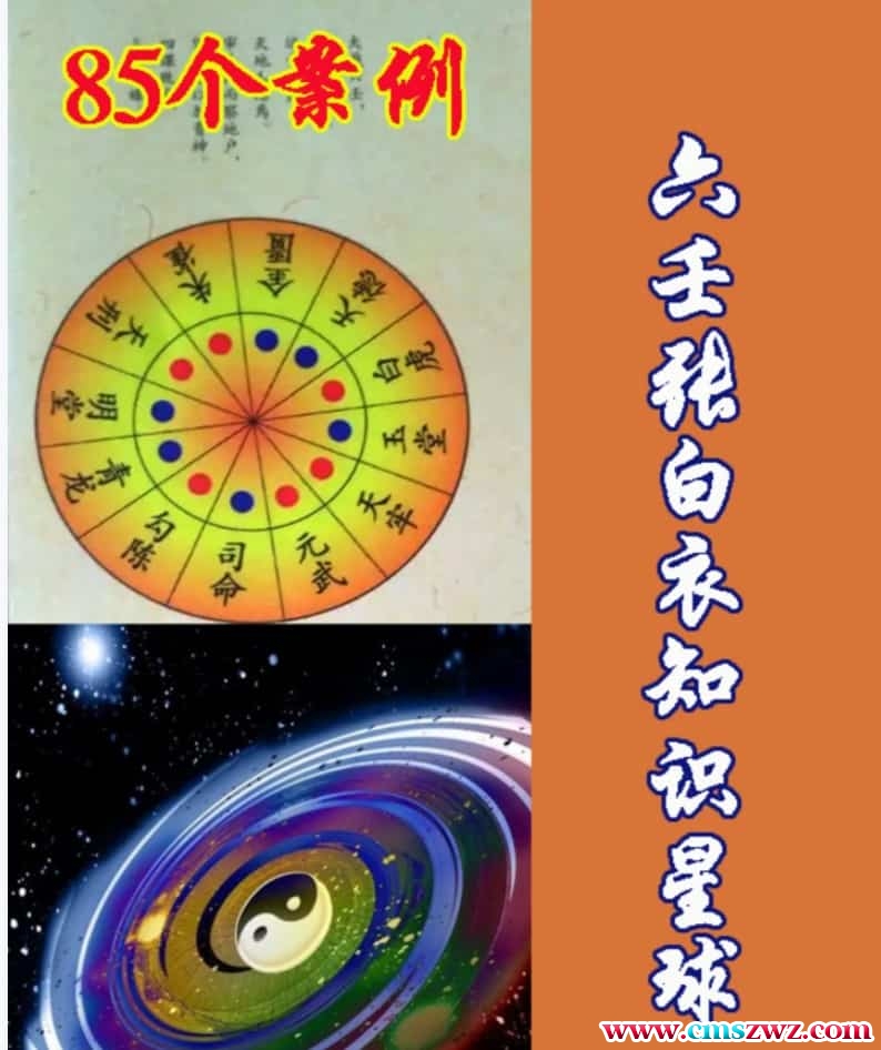 张白衣大六壬案例 85个 pdf 86页插图
