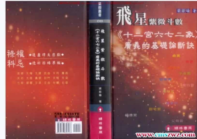 梁若瑜-飞星紫微斗数《十二宫六七二象》广义的基础论断诀插图