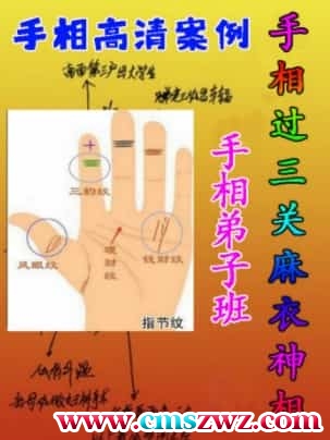 黄瑞海手相弟子班教学案例273页，200个案例插图