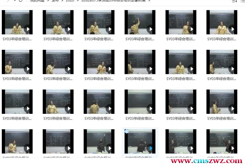 李洪成2003年综合培训录像80集插图