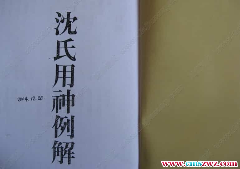 沈氏用神例解.pdf插图