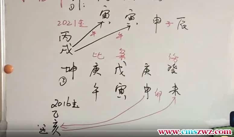 吴玉莲 2021吴玉莲盲派八字视频课程 辛丑视频46集插图