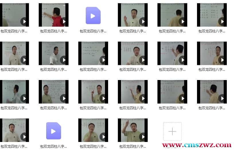 最新包双龙四柱（VIP）入门（视频22集）插图