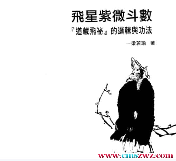 梁若瑜-飞星紫微斗数道藏飞秘的罗辑与功法插图