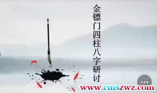 金镖门老人参盲派命理2021年夏秋季视频钉钉讲课视频全套视频36集插图 金镖门老人参盲派命理2021年夏秋季视频钉钉讲课视频全套视频36集插图