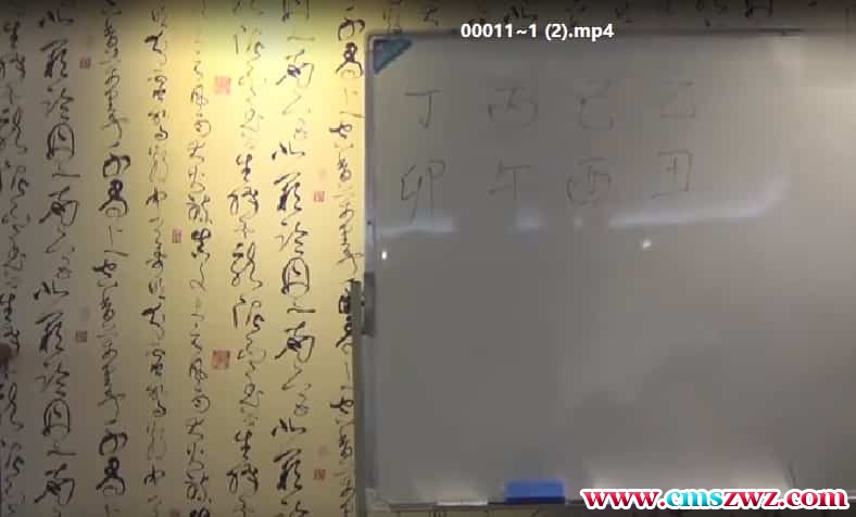 倪可八字 2017年5月1日 八字面授课录像 视频65集插图