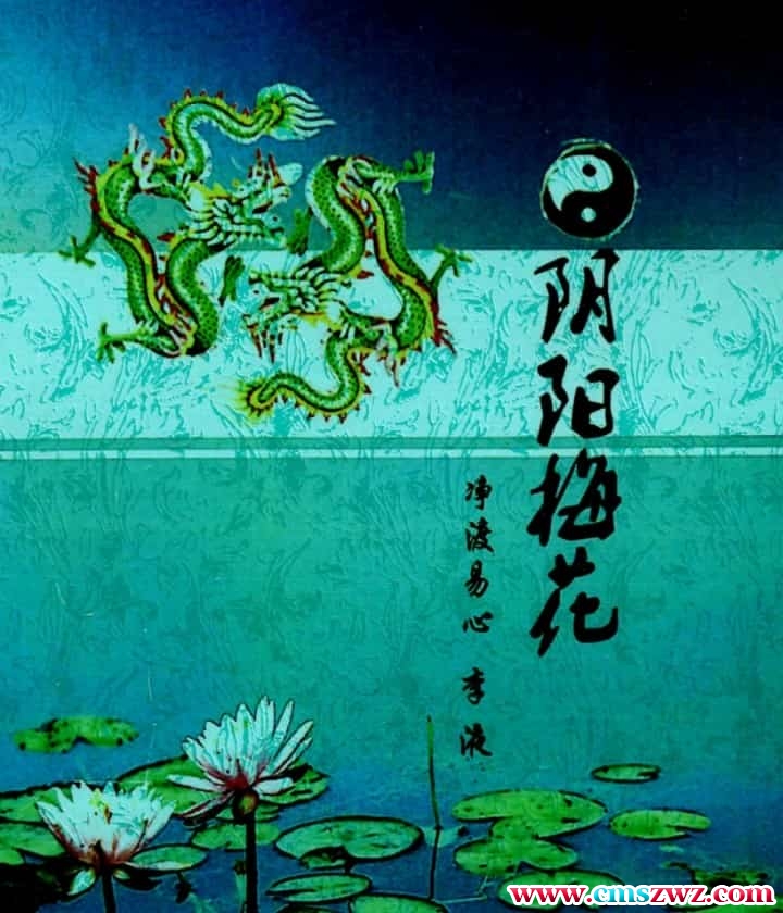 净度易心-《真正梅花》3本上中下+《阴阳梅花》pdf电子书插图