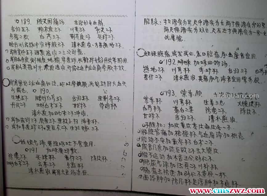 独家发布1960-1964年绝版手抄真实秘方偏方插图