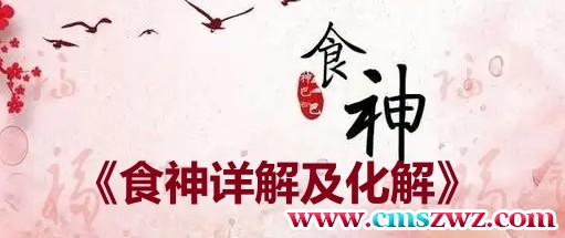 《食神详解及化解》2集视频插图