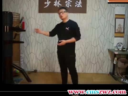 万千 形意拳印掌14集视频教学 万千老师形意拳印掌14集视频 百度盘下载插图 万千 形意拳印掌14集视频教学 万千老师形意拳印掌14集视频 百度盘下载插图