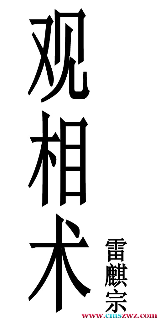 雷麒宗2019观像术 微信头像预测法名片预测法 测字术.pdf插图