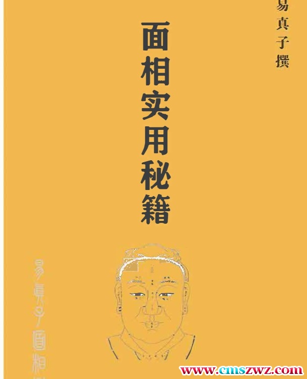 面相实用秘籍，老师傅传弟子，看相很实用，238页。插图
