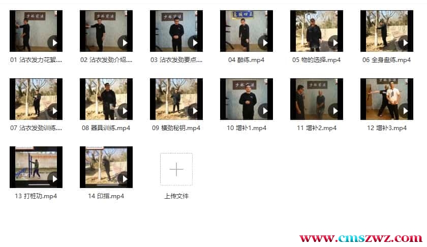 万千 形意拳印掌14集视频教学 万千老师形意拳印掌14集视频 百度盘下载插图1 万千 形意拳印掌14集视频教学 万千老师形意拳印掌14集视频 百度盘下载插图1