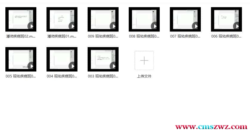 潘昭佑八字调理疾病案例班视频 9集视频课程插图