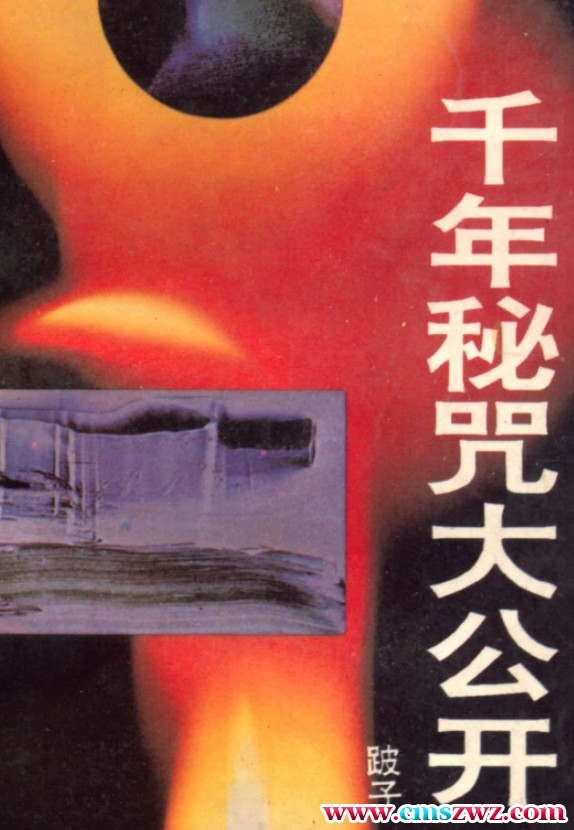 千年秘咒大公开.pdf插图