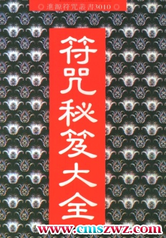 Y2306-157符本–符咒秘笈大全  治邪煞插图