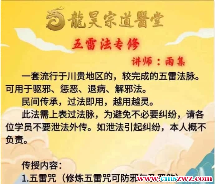 龙昊宗 雨集 五雷针法课程视频一集+文档法本插图