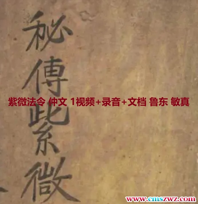 紫微法令 仲文课程 1视频+录音+文档 护身 辟邪 荡秽 加持物品插图