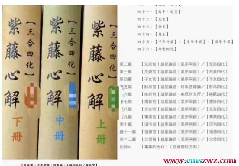 南风阁李谯紫藤心解专业版 台湾专业的紫薇斗数书籍pdf 1-3册插图