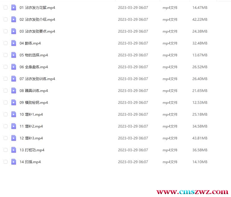 万千 形意拳印掌14集视频教学 万千老师形意拳印掌14集视频 百度盘下载插图2 万千 形意拳印掌14集视频教学 万千老师形意拳印掌14集视频 百度盘下载插图2
