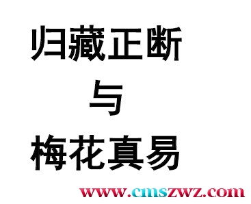 苏国圣-归藏正断与梅花真易插图