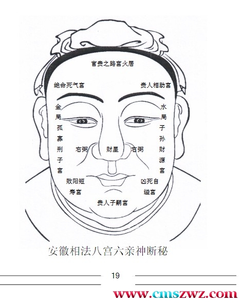 安徽相法神仙断351页绝密内部资料插图