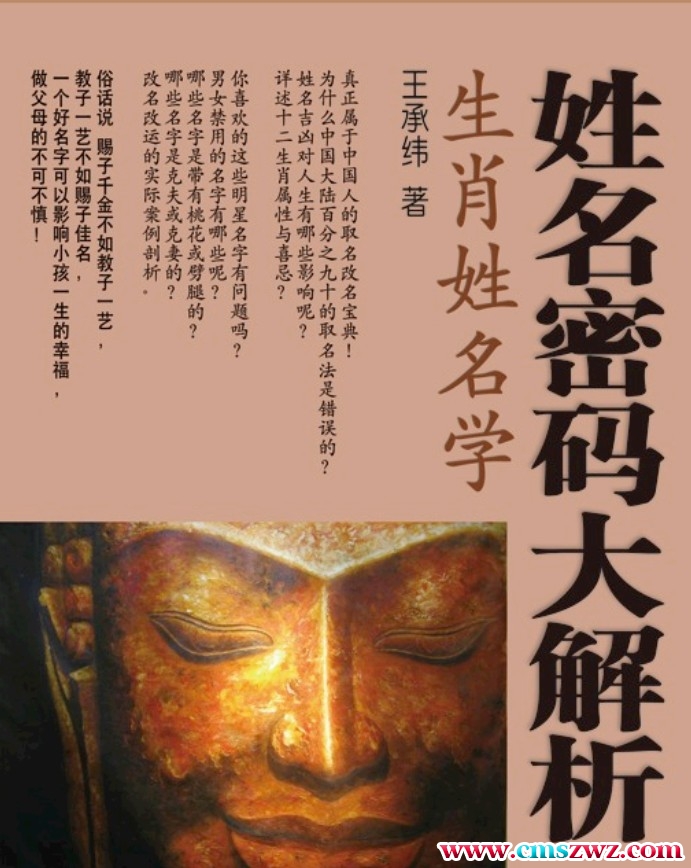 王承纬 生肖姓名学-姓名密码大解析插图