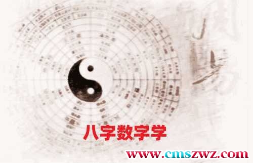 八字课程视频课程教学6.8G多文件插图