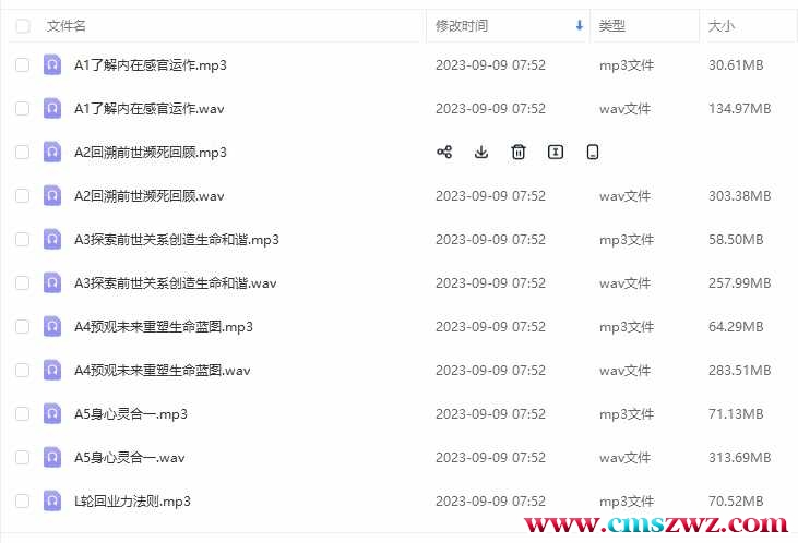 廖云钒 催眠疗愈课程 元辰宫21集录音课程插图