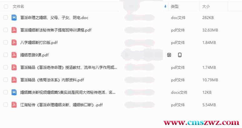 盲派以及其他八字 盲派资料文档资料 8份插图