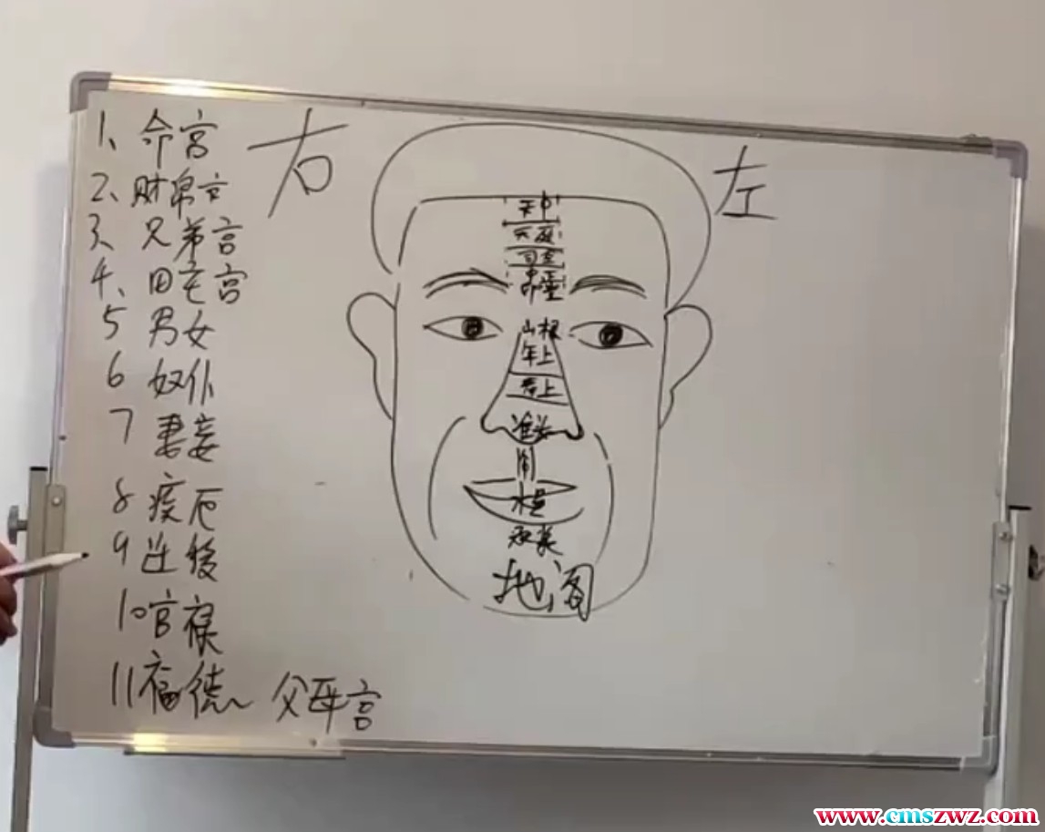 详睿相法24集视频课程 内容插图